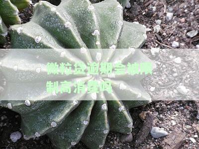 微粒贷逾期会被限制高消费吗