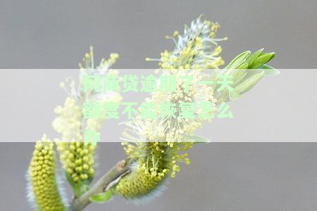网商贷逾期了一天额度不能恢复怎么办呢