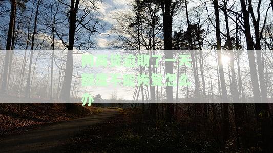 网商贷逾期1天后还了为什么无法再次借款？