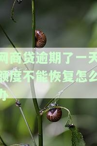 网商贷逾期了一天额度不能恢复怎么办