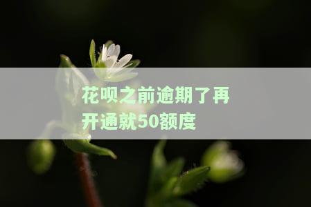 花呗逾期后恢复使用提额速度缓慢