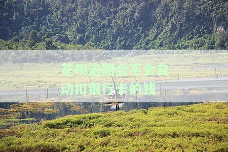 花呗逾期后会自动扣除支付宝的钱吗？如何处理？