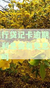 贷记卡逾期1会影响贷款