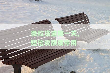 微粒逾期2天,发信息说可借额度不能用了