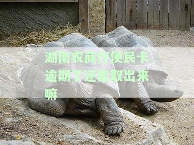 湖南农商行便民卡逾期了还能取出来嘛