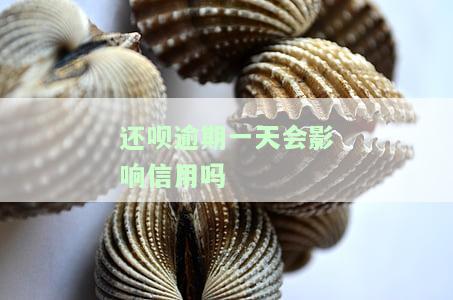 还呗逾期一天会影响信用吗知乎：逾期一天会影响信用吗？
