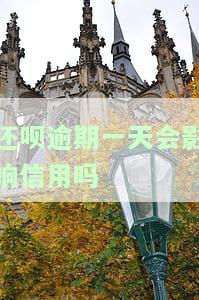 还呗逾期一天第二天给还了，会对征信有影响吗？
