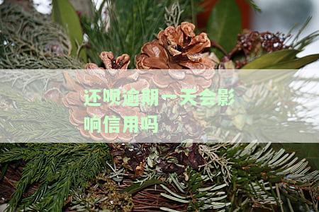 还呗逾期一天会影响信用吗