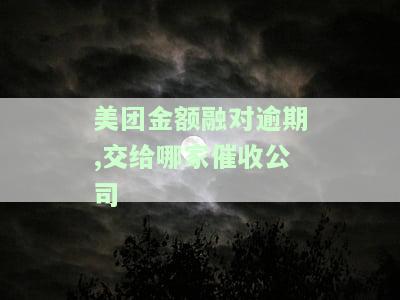 2021年美团金融催款的招数及联系方式
