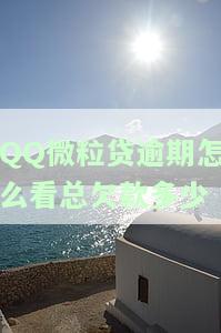 怎么查微粒贷总欠款信息