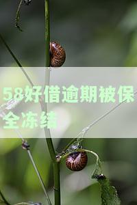 58好借逾期被保全冻结了怎么解冻，还能借吗？