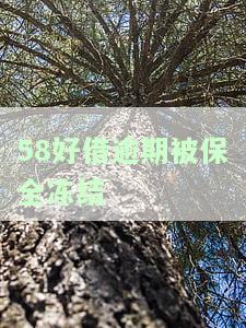 58好借不还会冻结个人账户吗，还款会从所有名下银行卡扣吗？