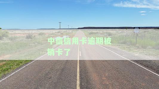 中信信用卡逾期被销卡了