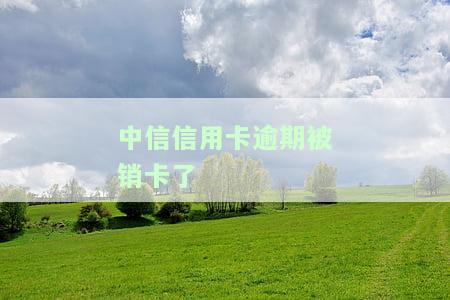 被中信信用卡停用了对其他银行有影响吗？安全吗？