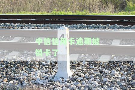 2021年中信银行信用卡逾期新法规解读
