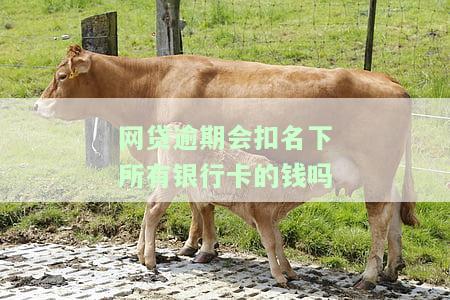 网贷逾期会扣卡里钱吗？如何处理逾期问题？