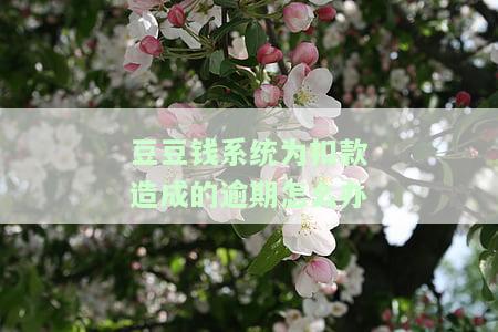 豆豆钱故意扣款不成功，如何处理及为什么无法主动还款？