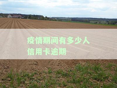 疫情期间有多少人信用卡逾期过及其影响