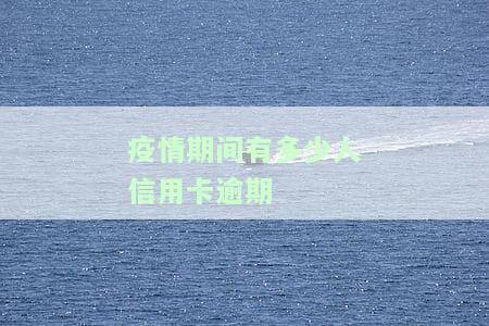 疫情导致多少人信用卡逾期及起诉情况？