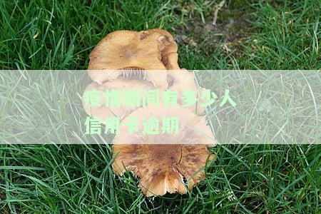 疫情期间有多少人信用卡逾期