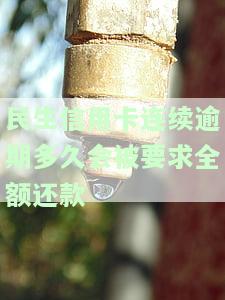 民生信用卡逾期协商解决技巧及征信处理