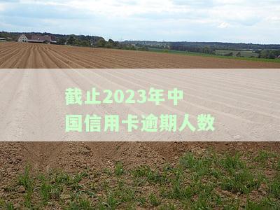 2020年中国信用卡逾期人数及逾期率，全国逾期总金额