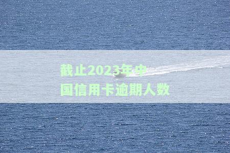 2021年信用卡逾期人数及金额
