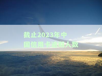 今年有多少信用卡逾期人员