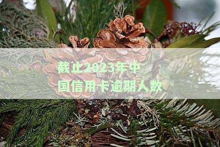 2021年信用卡逾期统计