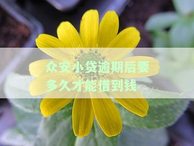 众安小贷逾期会不会起诉及其后果