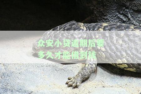 众安小贷逾期后要多久才能借到钱