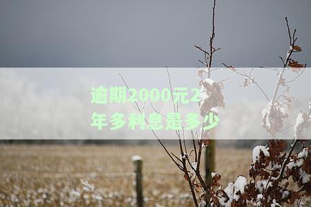 逾期2000元2年多利息是多少