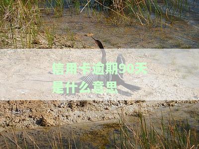 信用卡逾期90天是什么意思呀，怎么处理并还款？