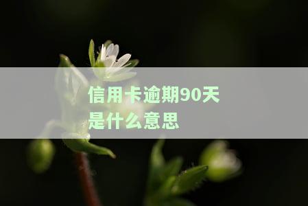 什么叫信用卡逾期90天及其后果
