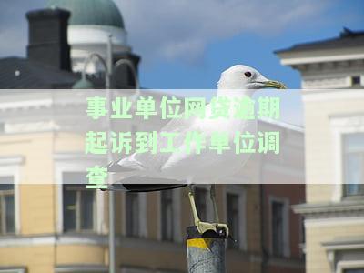 在事业单位上班欠网贷逾期该如何应对？