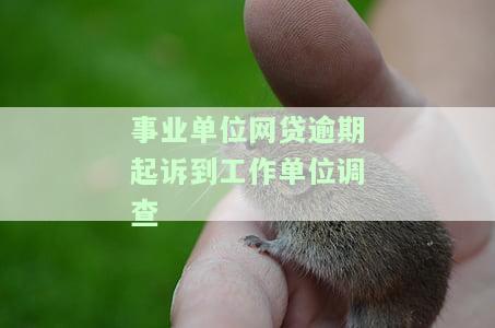 事业单位人员网贷被催收的后果及是否会被开除