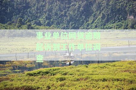 事业单位人员欠网贷会被开除吗？如何处理这种情况？
