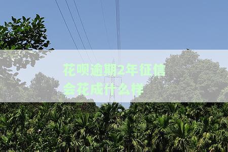 花呗逾期两年没还会不会变网络诈骗？