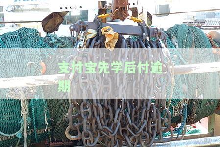 支付宝先学后付逾期会影响征信吗及修复方法