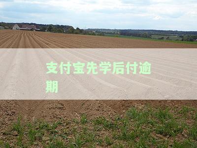 支付宝先学后付逾期怎么办及修复