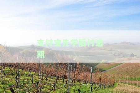 支付宝先学后付逾期上征信吗？怎么处理逾期及守约问题？是否可以取消先学后付？