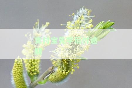 支付宝先学后付逾期怎么支付