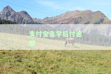 支付宝先学后付逾期会怎么样及修复方法