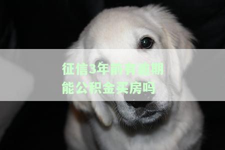 征信有3次逾期,能用公积金买房吗？如何处理逾期记录？