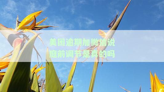 美团逾期12天今天加你微信说要去我家怎么办