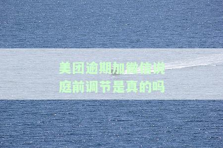 美团逾期收到短信要开庭审理是不真的