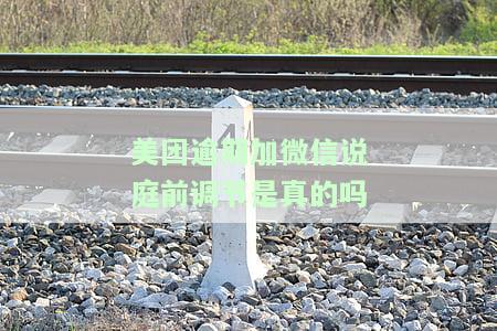 美团逾期说申请开庭审理,并委托机构审理