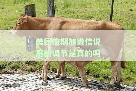 美团欠款逾期发短信说法院诉讼是真的吗？