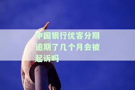 中国银行优客分期还款是还到哪里的钱，怎么还款