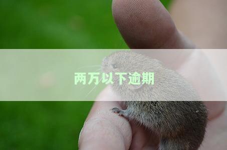 逾期两万多能立案吗